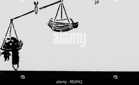 . Wilde Tiere zu Hause [microform]. Tiere; Zoologie; Animaux; Zoologie. Fmmms Fttt - bcSfMt in Löchern oder in das Fett ihrer Gremien, so müssen nicht sein, wenn der intensest kalt auf dem Land ist. Einige haben das Wetter den ganzen Winter, und diese finden wir das Fell seiner besten Qualität. In dieser Klasse sind die Marder und der nördlichen Fox. Sie sind die schönsten, wärmsten, leichteste und leiseste aller Pelze. Aber Farbe ist ein Kardinal, wenn Schönheit ist Consid- und wo Mode ist Queoi. So das du^ mesz Farben sind die Weichen olive Braun mit silbernen Haaren, in der Russischen Sable gefunden, und das schwarz glänzende wit Stockfoto