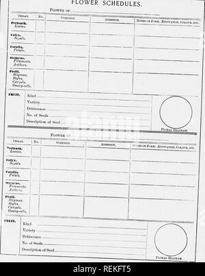 . High School botanischen Hinweis Buch [microform]. Botanik; Botanique. r. P | AnitA&gt;!.. Bitte beachten Sie, dass diese Bilder sind von der gescannten Seite Bilder, die digital für die Lesbarkeit verbessert haben mögen - Färbung und Aussehen dieser Abbildungen können nicht perfekt dem Original ähneln. extrahiert. Spotton, H.B. (Henry Byron), 1844-1933. Toronto: W. J. Gage Stockfoto
