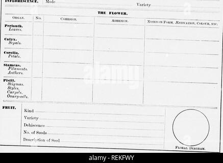 . High School botanischen Hinweis Buch [microform]. Botanik; Botanique. ri! Iir II passen. Anlage planen. Nr., (Jiii; iii lK. ir. Hi stammen. iorm Farbe Dauer... Position der Klasse Haltung Textur rositiiiii. &Gt; Shai) e. Tuien Verzweigung Höhe Dauer Oberfläche visum Ich sitidli 'dAnordnung Sti | mhitl (iii Insortidn Umrisse ich Nr. der lentlets, wenn Ein-* Texturo I I: * rolour j*W^izo; * Vi 'Nati (Ich?-Marge* A]) ex? Base IWFLORESIEM' E. ?. Oberfläche der Vielzahl die FLOWEK. NOIKSO. N K,. HM,^ sm-Aiio. v, Lrir CoLOUIl,.. Pllttil. Stii/mas. Stile. Carj) e/s. Eierstock - eelI ein. FKIIT. Kiail Vielzahl dehiszenz Nr. der Samen. Bitte Stockfoto