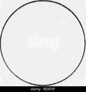 . High School botanischen Hinweis Buch [microform]. Botanik; Botanique. compoimd. r lieadiiij", Disk-Tni-: ixowKH. OiKlAN. &Lt;'8 l4 "iirolla. Ich ilaU. Mühle III â â Â". Filtimeiita, Aiitlierx. Nr. Zusammenhalt. AiiiieaioN. Fum.u. DiaOhaji. riKiii. Sf Wenn/III passen. Sl! iliâ. Auto ich Wis. Ornrii-celh,.. ciammv vnoTi, dr. ^ KEfKS': Botanischer Name.. *^''"""^'*' Pojiiilixr Xanio Si: i)-Ci, A8 S Ji bin tat l ^ ' ^ ' Isio^ WluTo founil Oidor (ienus.. Arten.. Datum der Sammlung Zeichnungen, &Amp; c. ^. 4. Bitte beachten Sie, dass diese Bilder sind von der gescannten Seite Bilder, die digital für die Lesbarkeit erhöht worden sein können extrahiert - Stockfoto