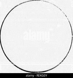 . High School botanischen Hinweis Buch [microform]. Botanik; Botanique. Anlage planen. Nr. UOOT. KTEH. Herkunft Form Farbe Dauer... Position der Klasse AtHtudo Textur Positiou fSliajie Saft Niederlassung in: Höhe Dauer-- Oberfläche ich. Ich: af. Ich Uvi &Lt;ion Position Arranf^ eiMc-; Es Stijiulatinn einlegen - Überblick Xo. Flugblätter, wenn r: r. Â ¦ Textur â ¦ Farbe j* Größe â ¦ Äderung â ¦ Margin - - - â ¦ Ajiex â ¦ Base â ¦ Oberfläche* Ai) plicablu zu Broschüren, wenn Wenn af ist cuii^ ii "iiiiiil - XFLOBESC" EXl' E. Mode - Vielfalt - die FLOWEn. Ohoan. Porliiiilli. Blätter, o. Zusammenhalt. Cnlyx. Kelchblätter. C'orolln. Blütenblätter. Sill III (MIS. Filamets Stockfoto