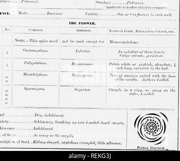 . High School botanischen Hinweis Buch [microform]. Botanik; Botanique. Anlage, NR. SCHEDUDLE KOOT. Ori^-III. Ich werde r, I "lHI/llilrl. ilolll. LKAF. Ich Di Si III I. Wenn. Â ¢ â"' "Kranke - Während iir ir/iitisll. iMivaii. u. . /;, Iinilliltl.;, y (ri Sie llitl'. (Itluu (iiili riit Arrniigi bin. ,. Alli rimlr Stipuluticiu Sti jiiihii,, I'. Isit II 111 V) (A/, STKM. ; Cliiss I) Ich, Ich. tulnl,, Iliscrtinu. / 'F t iitlntt • IT-t iliU i'&lt; liijfi s verii loiiji. Ouilii. l!iiiiiiil - kiiliirij.^ Li (ii,,, l. Attif. Iil 'ICH' rxturi. Asi-rml nil III" / oder ich. t'iirii ih Hinweis. Xn. von Inillcts. ir-schlecht. .. V (. //, Rechts r'nii'i Stockfoto