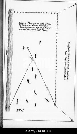 . Bericht über die Fischzucht in der Herrschaft von Kanada, 1890 [microform]. Fisch Kultur; Fische, Fischzucht, Poissons. . Bitte beachten Sie, dass diese Bilder sind von der gescannten Seite Bilder, die digital für die Lesbarkeit verbessert haben mögen - Färbung und Aussehen dieser Abbildungen können nicht perfekt dem Original ähneln. extrahiert. Ottawa: B. Chamberlin Stockfoto