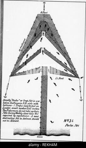 . Bericht über die Fischzucht in der Herrschaft von Kanada, 1890 [microform]. Fisch Kultur; Fische, Fischzucht, Poissons. . Bitte beachten Sie, dass diese Bilder sind von der gescannten Seite Bilder, die digital für die Lesbarkeit verbessert haben mögen - Färbung und Aussehen dieser Abbildungen können nicht perfekt dem Original ähneln. extrahiert. Ottawa: B. Chamberlin Stockfoto