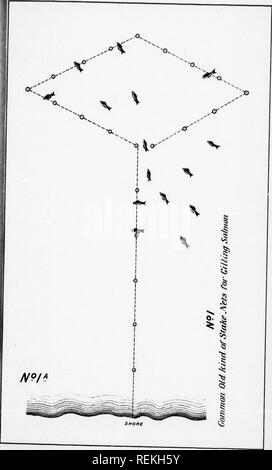 . Bericht über die Fischzucht in der Herrschaft von Kanada, 1890 [microform]. Fisch Kultur; Fische, Fischzucht, Poissons. . Bitte beachten Sie, dass diese Bilder sind von der gescannten Seite Bilder, die digital für die Lesbarkeit verbessert haben mögen - Färbung und Aussehen dieser Abbildungen können nicht perfekt dem Original ähneln. extrahiert. Ottawa: B. Chamberlin Stockfoto