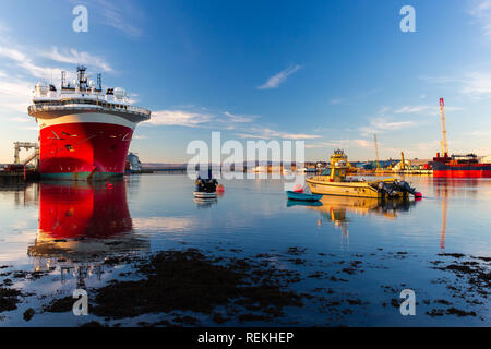 Schiffe, die die Bohrinseln in der Nordsee verwenden Montrose Hafen als Basis, ihre Größe überragt das umliegende Gehäuse. Stockfoto