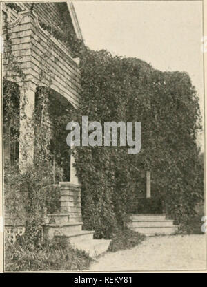 . Civic Biologie; Lehrbuch der Probleme, lokaler und nationaler Ebene, die nur durch die bürgerliche coÃ¶ Erklärung gelöst werden können. Biologie. Ich HUMK * LANTiN (ich bin> l. Bin "M Ai' K1: M M. -&Gt;'." Die gleiche suiiree es Lias llic a (laiilagi' ol inÂ "l liciug atlaeketl durch amerikanische Schadinsekten. Ivis ((NTF/nsa^ die Japaner (piinee, und die Japanische sn (> vball sind andere erleichtert in pnim. FoUowing sind einige Probleme im Lan (Ls (a [) e Gartenarbeit: 1. Eine Reihe von Skizzen, zu skalieren, der yonr Home gronnds gronnd, Planen und mindestens eine Ansicht, Benennung und Orten aller Bäume, Sträucher, Kletterpflanzen und Betten Grundstücke mit deren Inhalt. 2. Stockfoto