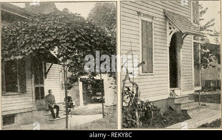 . Civic Biologie; Lehrbuch der Probleme, lokaler und nationaler Ebene, die nur durch die bürgerliche coöperation gelöst werden können. Biologie. 86 CIVIC BIOLOGIE was Exotisches ist schöner als unsere Mountain Laurel oder unsere rhoclora oder anmutiger als unsere sumacs und Elder-Berry, oder süßer als unsere Pfeffer Bush und Wild Rose? Es ist keine leichte Angelegenheit, dass eine Anlage in die Umgebung auf einem großen Kontinent angepasst geworden ist durch die vielen centu-Ries von seinem Kampf um die Existenz. Blumen. Mit Buschwerk nun als Hintergrund natürlich, in der schönsten Landschaft Effekte, die Stauden. Abb. 41. Die meisten Das Stockfoto