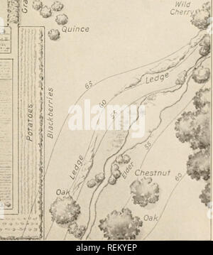 . Civic Biologie; Lehrbuch der Probleme, lokaler und nationaler Ebene, die nur durch die bürgerliche coÃ¶ Erklärung gelöst werden können. Biologie. Ahorn/Â" 10 0 -, Birne y,. ^^w^^ (^.^C $ c^ Peach'^0? C * * Â" von Q V;.- Ich! 1^*^-. .^ Martin House Quitte - n t Vegethbfes Stachelbeeren â'-i'^'^'^* """. Â. .. /', ", " "V R-i---- ^-^. r o v... .? , ... ... J, ich^. .^. ^. ^ Himbeeren I. Abb. 10. Alle ideale l) inl-.> liuly Trakt 27. Bitte beachten Sie, dass diese Bilder aus gescannten Seite Bilder, die digital für die Lesbarkeit verbessert haben mögen - Färbung und Aussehen dieser Kranke extrahiert werden Stockfoto