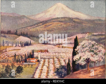 . Civic Biologie; Lehrbuch der Probleme, lokaler und nationaler Ebene, die nur durch die bürgerliche coöperation gelöst werden können. Biologie. . Bitte beachten Sie, dass diese Bilder sind von der gescannten Seite Bilder, die digital für die Lesbarkeit verbessert haben mögen - Färbung und Aussehen dieser Abbildungen können nicht perfekt dem Original ähneln. extrahiert. Hodge, Clifton Fremont, 1859 -; Dawson, Jean, 1873 -. Boston, Ginn Stockfoto