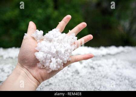 Holding einfrieren granulierten Hagel Eiskristalle, Körner in den Händen nach starker Hagelschlag im Herbst fallen. Erster Schnee im frühen Winter. Bei kaltem Wetter. Stockfoto