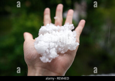 Holding einfrieren granulierten Hagel Eiskristalle, Körner in den Händen nach starker Hagelschlag im Herbst fallen. Erster Schnee im frühen Winter. Bei kaltem Wetter. Stockfoto