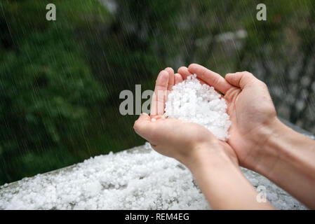 Holding einfrieren granulierten Hagel Eiskristalle, Körner in den Händen nach starker Hagelschlag im Herbst fallen. Erster Schnee im frühen Winter. Bei kaltem Wetter. Stockfoto