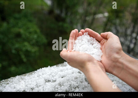 Holding einfrieren granulierten Hagel Eiskristalle, Körner in den Händen nach starker Hagelschlag im Herbst fallen. Erster Schnee im frühen Winter. Bei kaltem Wetter. Stockfoto