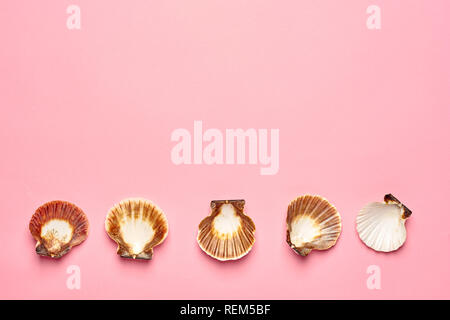 Kreative seashell auf Farbübergang Pastell rosa Hintergrund. Sommer flach Konzept Stockfoto