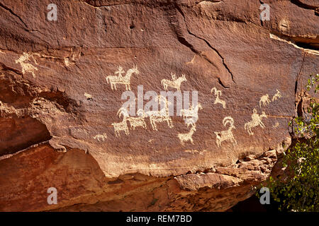 Ute indianische Felszeichnungen, Arches National Park, Moab, Utah, USA Stockfoto