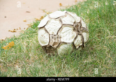 Alte leder Fußball auf grünem Gras Stockfoto