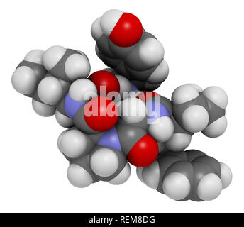 Beta-casomorphin Peptid 7 Molekül. Aufschlüsselung Produkt von Kasein, die eine Rolle in der menschlichen Krankheiten spielen können. 3D-Rendering. Atome sind als Kugel dargestellt Stockfoto