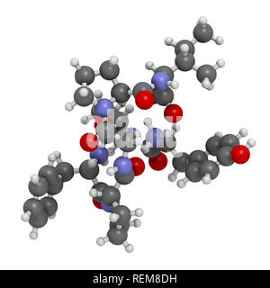 Beta-casomorphin Peptid 7 Molekül. Aufschlüsselung Produkt von Kasein, die eine Rolle in der menschlichen Krankheiten spielen können. 3D-Rendering. Atome sind als Kugel dargestellt Stockfoto