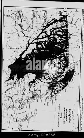 . Wälder von British Columbia [microform]. Die Wälder und die Forstwirtschaft; Forêts. Wenn.. Bitte beachten Sie, dass diese Bilder sind von der gescannten Seite Bilder, die digital für die Lesbarkeit verbessert haben mögen - Färbung und Aussehen dieser Abbildungen können nicht perfekt dem Original ähneln. extrahiert. Whitford, Harry Nichols; Leavitt, Clyde; Craig, Roland D., b. 1879; Kanada. Kommission der Erhaltung; Kanada. Kommission der Erhaltung. Ausschusses für Wälder. Ottawa: die Kommission der Erhaltung Stockfoto