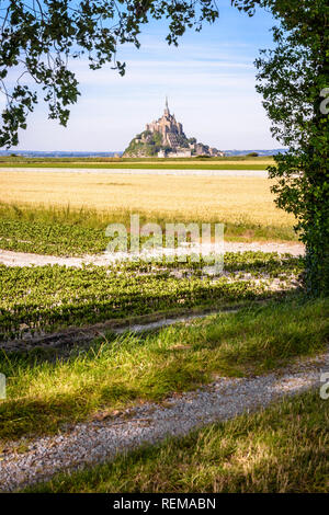 Der Mont Saint-Michel tidal Island in der Normandie, Frankreich, aus einem Pfad zwischen Feldern in der Polder mit einem Baum im Vordergrund. Stockfoto