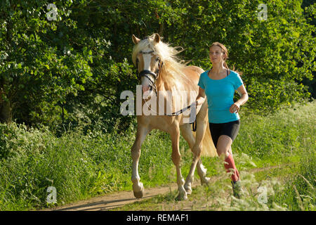Junge Frau joggen zusammen mit ihrem Haflinger Hengst Stockfoto