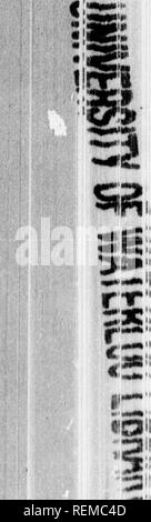 . Ein Lehrbuch der wirbellosen Morphologie [microform]. Wirbellose; Morphologie (Tiere); Invertébrés; Morphologie (ANIMAUX). 462 INVERTEBHA TE MORPHOLOG Y.. Bitte beachten Sie, dass diese Bilder sind von der gescannten Seite Bilder, die digital für die Lesbarkeit verbessert haben mögen - Färbung und Aussehen dieser Abbildungen können nicht perfekt dem Original ähneln. extrahiert. McMurrich, J. Playfair (James Playfair), 1859-1939. New York: H. Holt Stockfoto