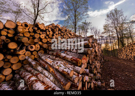 Anmelden Stapel an einer nördlichen Wisconsin Protokollierung. Stockfoto