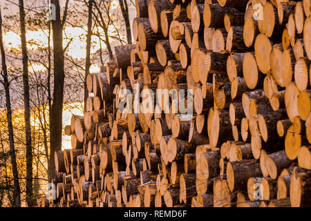 Anmelden Stapel an einer nördlichen Wisconsin Protokollierung. Stockfoto