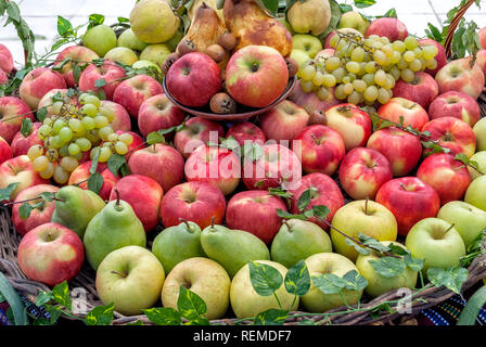Grüne Äpfel, rote Äpfel, Trauben und Birnen; Stockfoto