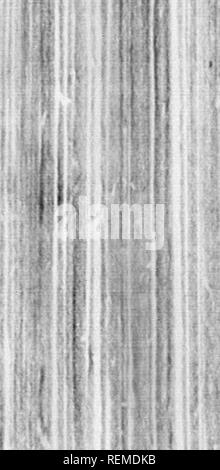 . Reisen in Nordamerika [microform]: Mit seinen natürlichen Geschichte und Indizien der Plantagen und der Landwirtschaft im Allgemeinen: Mit den zivilen, kirchlichen und wirtschaftlichen Zustand des Landes und die Sitten der Einwohner, und mehrere neugierig und wichtige Erläuterungen zu verschiedenen Themen. Natural History; Naturgeschichte; Naturgeschichte; Baron, Baron, Baron. Â" fi il I*." Ich â â'} I. Bitte beachten Sie, dass diese Bilder aus gescannten Seite Bilder, die digital für die Lesbarkeit verbessert haben mögen - Färbung und ap extrahiert werden Stockfoto