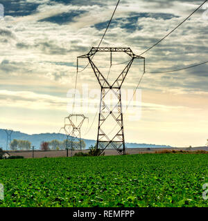 Elektrische Pylon in einem Feld, Auvergne, Frankreich, Europa Stockfoto