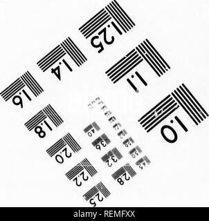 . Die illustrierte Naturgeschichte [microform]. Vögel; Naturgeschichte; Oiseaux; Baron. Photographic Sciences Corporation 23 WEBSTER WEST MAIN STREET, NY 14580 (716) 872-4503. Bitte beachten Sie, dass diese Bilder sind von der gescannten Seite Bilder, die digital für die Lesbarkeit verbessert haben mögen - Färbung und Aussehen dieser Abbildungen können nicht perfekt dem Original ähneln. extrahiert. Holz, J. G. (John George), 1827-1889. London: Routledge, Warne und Routledge Stockfoto