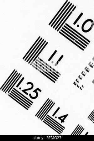 . Die illustrierte Naturgeschichte [microform]. Vögel; Naturgeschichte; Oiseaux; Baron. Bild TEST ZUR BEURTEILUNG ZIEL (MT-3). /,  oder/, Wr (/a^1.0 I.I! f: iM Jim 2,0 1,8 1,25 1,4 1,6" "6"-?. Bitte beachten Sie, dass diese Bilder sind von der gescannten Seite Bilder, die digital für die Lesbarkeit verbessert haben mögen - Färbung und Aussehen dieser Abbildungen können nicht perfekt dem Original ähneln. extrahiert. Holz, J. G. (John George), 1827-1889. London: Routledge, Warne und Routledge Stockfoto