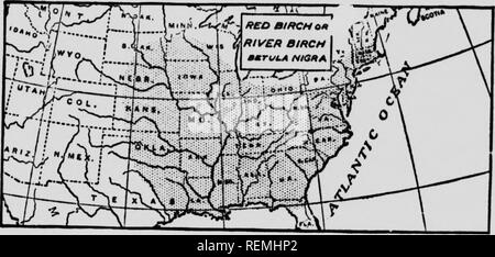 . Dem Forsthaus, Handbuch, oder den Wald Bäume des östlichen Nordamerika [microform]. Bäume; Arbres. 54 Förster' Handbuch 11 Das erste der Birke Kanu geboren und für diese daran erinnert und gehütete unlii Mann auf der kleinen Gewässer hat seine endgültige Ende erreicht werden. Red Birch oder Fluss Birke. (Betula nigra) ein großer Wald Baum des nassen Banken; bis zu 90 Meter hoch. Kuown durch seine rot-brauner schuppiger Rinde, der birkenrinde Stil, und seine rote Zweige. Sein Holz hght - farbige, stark, schließen, Licht. Ein kubischer Fuß wiegt 36 kg Blätter ich § 3 Zoll lang.. Bitte beachten Sie, dass diese Bilder sind ex Stockfoto