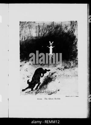 . Wilde Tiere zu Hause [microform]. Tiere; Zoologie; Animaux; Zoologie. . Bitte beachten Sie, dass diese Bilder sind von der gescannten Seite Bilder, die digital für die Lesbarkeit verbessert haben mögen - Färbung und Aussehen dieser Abbildungen können nicht perfekt dem Original ähneln. extrahiert. Seton, Ernest Thompson, 1860-1946. Toronto: W. Briggs Stockfoto