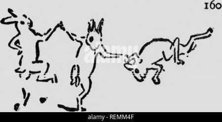 . Wilde Tiere zu Hause [microform]. Tiere; Zoologie; Animaux; Zoologie. Die RMhhHt und thdr HaUts, gab ihm zu essen und Wasser, und ließ ihn f (Einsatz in den Morgen. Das KANINCHEN TANZ über neun Uhr in der Nacht waren wir sittir über das Feuer, wenn von der nahe Wald wj gehört eine enorme" tippen Sie auf Tippen - taptrrr", so laut und so nahe, dass wir alle th sprang und starrte in die Dunkelheit. Es begab, "Tap-tap-tap trrrrr", regelmässige Tattoo drum. "Was ist das?" Wir alle rief und tha Moment eine große Kaninchen irrten über die ope Raum beleuchtet durch das Feuer. Das Tattoo wieder ein Stockfoto