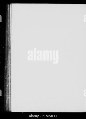 . Wilde Tiere zu Hause [microform]. Tiere; Zoologie; Animaux; Zoologie. . Bitte beachten Sie, dass diese Bilder sind von der gescannten Seite Bilder, die digital für die Lesbarkeit verbessert haben mögen - Färbung und Aussehen dieser Abbildungen können nicht perfekt dem Original ähneln. extrahiert. Seton, Ernest Thompson, 1860-1946. Toronto: W. Briggs Stockfoto