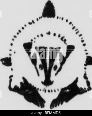 . Wilde Tiere zu Hause [microform]. Tiere; Zoologie; Animaux; Zoologie. Alte SHw^ frtstlc ft Dieses ist in der Tat der einzige Streit der zivilisierte Mensch mit den ehrlichen Badger abholen können. Er ist uM graben hoki tkU mduitu Hont kgt und Rider 't Hals. Bm Nay dtttaoy Gopher, Eichhörnchen, Prai-rie - Hunde, Insekten, und hundert Feinde der (arm Ich kann er die Kulturpflanzen in tausend verschiedenen BHKj ^^^^^^^^9 t^^/fi^^ Hilfe^^^^^^^^^ tt h^ jp ^^t^9 jp^^ wanttd, und diese Indiskretion viele Feinde für die freundlichsten und iturdiett aller Hausbesetzer auf den Ebenen gebildet hat. Die VALIANT, HARMLOSE ABZEICHEN VON der Saskatchewan Stockfoto