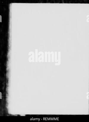 . Wilde Tiere zu Hause [microform]. Tiere; Zoologie; Animaux; Zoologie. . Bitte beachten Sie, dass diese Bilder sind von der gescannten Seite Bilder, die digital für die Lesbarkeit verbessert haben mögen - Färbung und Aussehen dieser Abbildungen können nicht perfekt dem Original ähneln. extrahiert. Seton, Ernest Thompson, 1860-1946. Toronto: W. Briggs Stockfoto