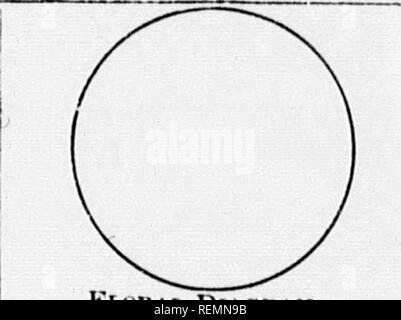 . High School botanischen Hinweis Buch [microform]. Botanik; Botanique. - "• Y^smsmmmmm Mtt. Blume Zeitpläne. FLOWEn OP.. OnOAN. IVrlniilh. Lea ves. Nr. Zusammenhalt. Ich' nl^'x. Kelchblätter. Corolla. Blütenblätter. Adiiebion. Hinweise zur Foiim,./Estivation, Mtiiiiirnit Ooloub, etc.. Filamente. Antheren. ristii. Stirjmas. Stile. Samenkapseln. Eierstock-Zellen. FIHIT. Art Vai' iotj-Dt' liiscfuce Ko. der Samen Beschreibung von Saatgut. • "'I. OHAI. DiAOIIAM. Fl. OWEU OP. OnOAN. Nr. Zusammenhalt. IN-rliiEilli. Verlässt. C'ur.v. Kelchblätter. (Urolln. Blütenblätter. Haftung. Hinweise zur Form,.*; stivation, NliliiiriiH CoLocn, etc.. Filamente. Antheren. Stempel Stockfoto