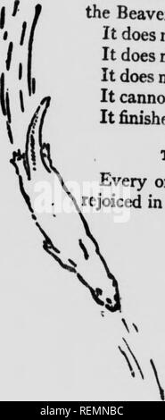 . Wilde Tiere zu Hause [microform]. Tiere; Zoologie; Animaux; Zoologie. II/FanuKH Fell - ficAtCft ebenso im Jahr 1897 die größte Biber Teich im Parlt wurde bei Obsidian CM. Ich muss sagen, dass der Damm^ rV^^^^^^^^^^^y^ &Lt;i^loiig. Aber jetzt ist es kaputt und der Teich wird entwässert. Und der rcMon nach wie vor - die Biber verwendet aU das Essen^^^", "^^" gebrochen, wenn die FLEISSIGEN, die dort nicht in ihre ewige Wachsamkeit ist fest zu halten, es gibt viele gute Biber Teiche in der Nähe von Yan-cey s jetzt und wahrscheinlich von derselben Colonie gemacht. der Biber, die ich dort studiert. Im September letzten Jahres fand ich eine feine Partien Stockfoto