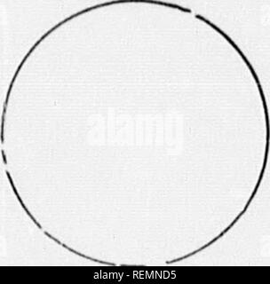 . High School botanischen Hinweis Buch [microform]. Botanik; Botanique. liiajraiii von. Diagramm der. Diagramm der. Diagramm der.. Bitte beachten Sie, dass diese Bilder sind von der gescannten Seite Bilder, die digital für die Lesbarkeit verbessert haben mögen - Färbung und Aussehen dieser Abbildungen können nicht perfekt dem Original ähneln. extrahiert. Spotton, H.B. (Henry Byron), 1844-1933. Toronto: W. J. Gage Stockfoto
