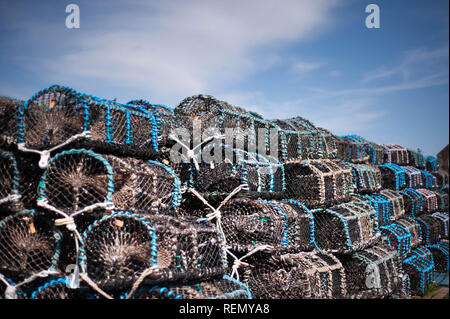 Reusen auf Holy Island, Northumberland Stockfoto