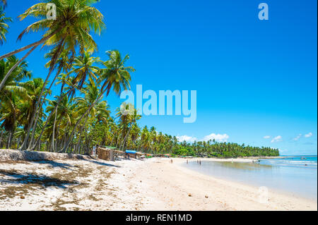 Helle malerischen Blick auf brasilianischen Strand mit Rustikalen Strand Hütten unter Kokospalmen gesäumt auf einer einsamen Insel in Bahia, Brasilien Stockfoto