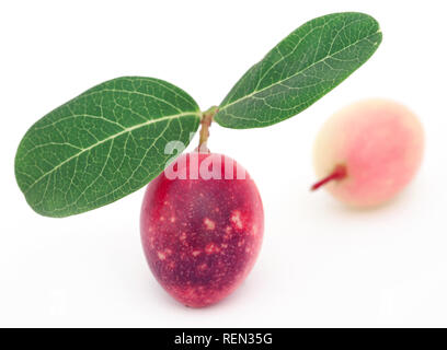 Koromcha oder Carandas Südostasiens als Gemüse gegessen Stockfoto