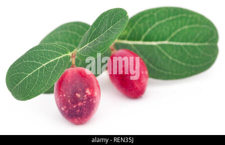 Koromcha oder Carandas Südostasiens als Gemüse gegessen Stockfoto