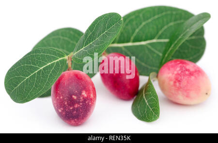 Koromcha oder Carandas Südostasiens als Gemüse gegessen Stockfoto