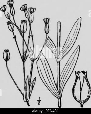 . Unkraut der Farm und Ranch [microform]. Sols; Unkraut; Bodenbearbeitung; Mauvaises herbes. . Bitte beachten Sie, dass diese Bilder sind von der gescannten Seite Bilder, die digital für die Lesbarkeit verbessert haben mögen - Färbung und Aussehen dieser Abbildungen können nicht perfekt dem Original ähneln. extrahiert. Bereit, T. N; Saskatchewan. Abt. der Landwirtschaft. Regina: J.A.Reid Stockfoto