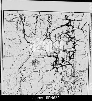 . Wälder von British Columbia [microform]. Die Wälder und die Forstwirtschaft; Forêts. .-* Ich. Bitte beachten Sie, dass diese Bilder sind von der gescannten Seite Bilder, die digital für die Lesbarkeit verbessert haben mögen - Färbung und Aussehen dieser Abbildungen können nicht perfekt dem Original ähneln. extrahiert. Whitford, Harry Nichols; Leavitt, Clyde; Craig, Roland D., b. 1879; Kanada. Kommission der Erhaltung; Kanada. Kommission der Erhaltung. Ausschusses für Wälder. Ottawa: die Kommission der Erhaltung Stockfoto